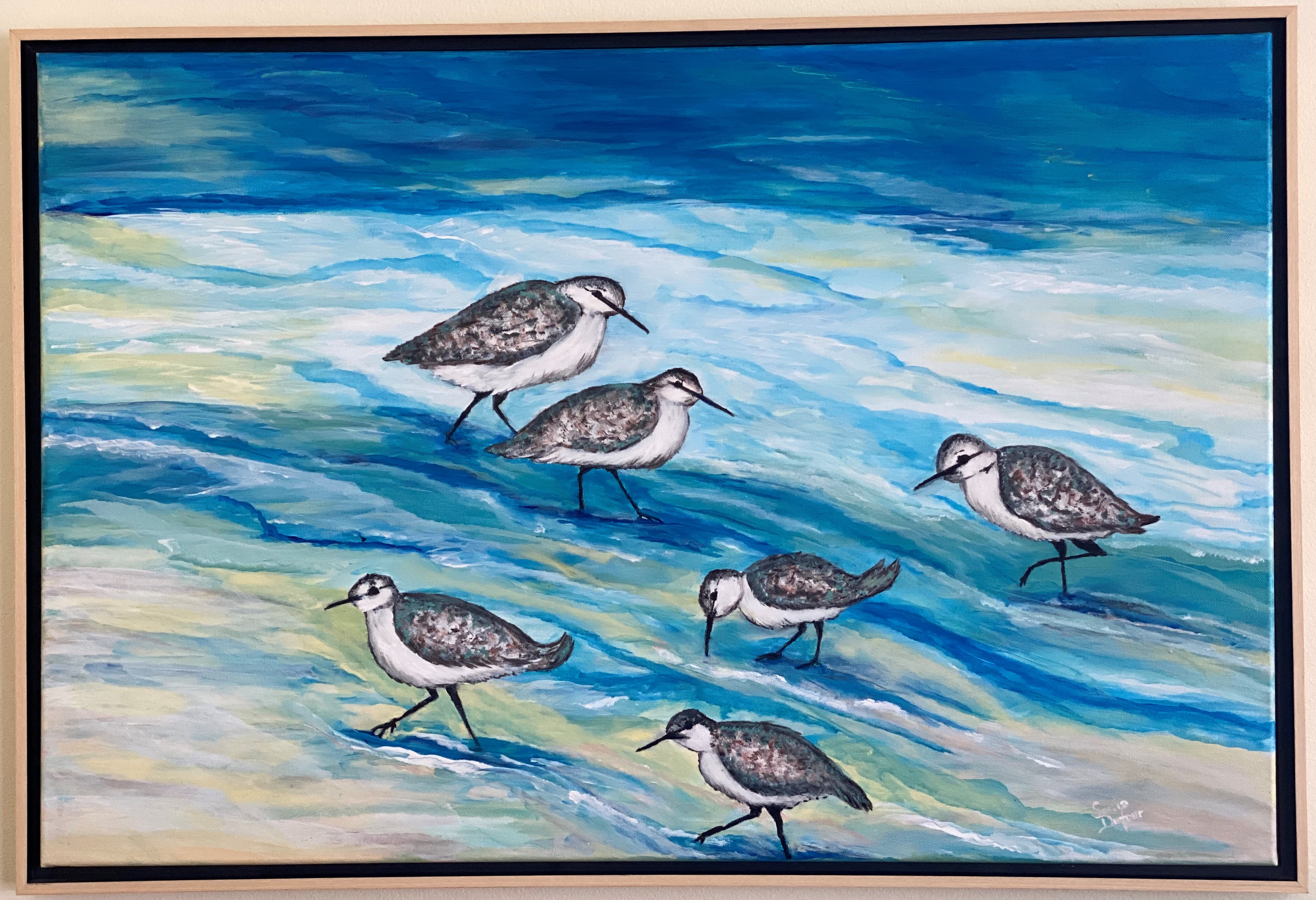 Tip Toe Through the Tide — sandpipers wading through shimmering coastal surf